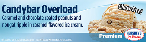 Candy Bar Overload: Caramel and chocolate coated peanuts and nougat ripple in caramel flavored ice cream!