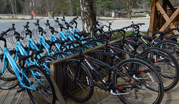 Bike Rentals